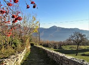 Monte Zucco (1232 m) ad anello in solitaria sui sentieri di casa (Zogno-300 m) 18nov闂????20 - FOTOGALLERY